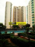Apartments for Rent in Raheja Atlantis 20