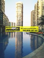 Palm Drive Gurgaon for Rent 15