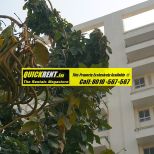 2 BHK Apartments for Rent Gurgaon 038