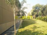 villa-for-rent-in-palm-springs-gurgaon-24