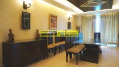 Furnished Apartment in DLF Aralias 19