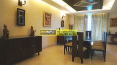 Furnished Apartments in DLF Aralias 02