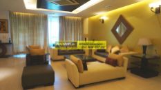 Furnished Apartments in DLF Aralias 16