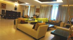 Furnished Apartments in DLF Aralias 24